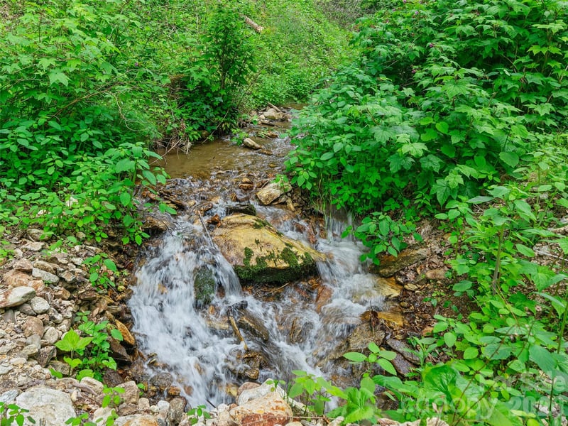 Lotties Creek Rd, Burnsville, NC 28714