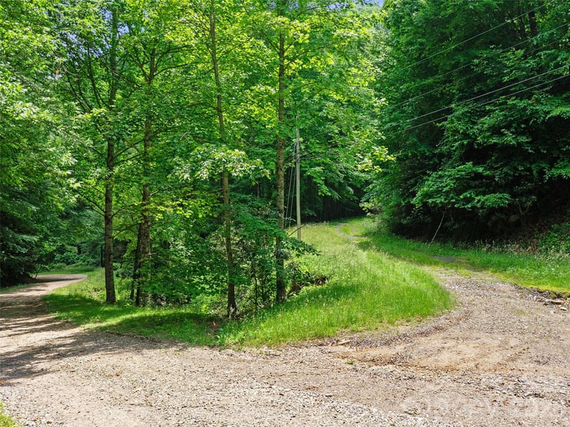 Lotties Creek Rd, Burnsville, NC 28714