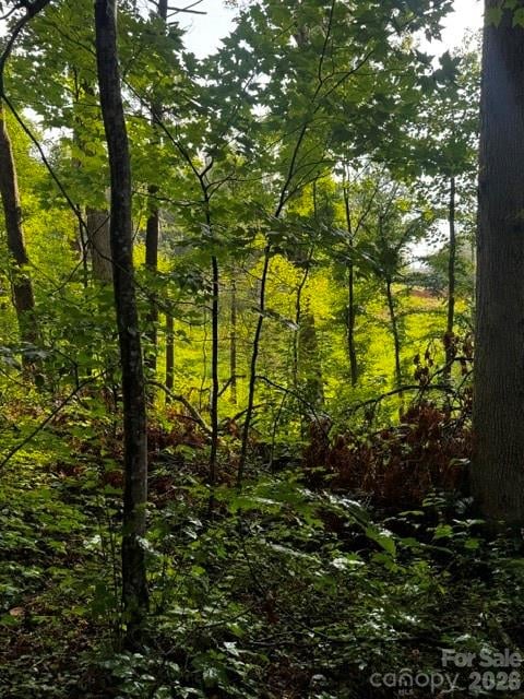 00000 Monticello Rd, Weaverville, NC 28787