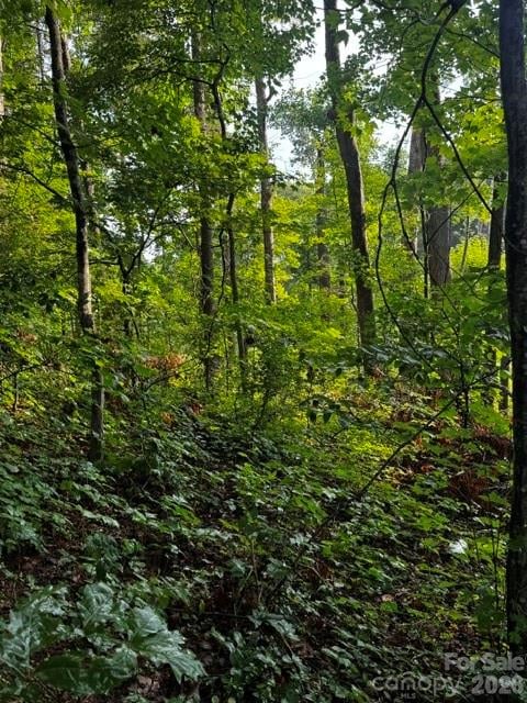 00000 Monticello Rd, Weaverville, NC 28787