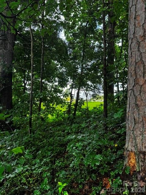 00000 Monticello Rd, Weaverville, NC 28787