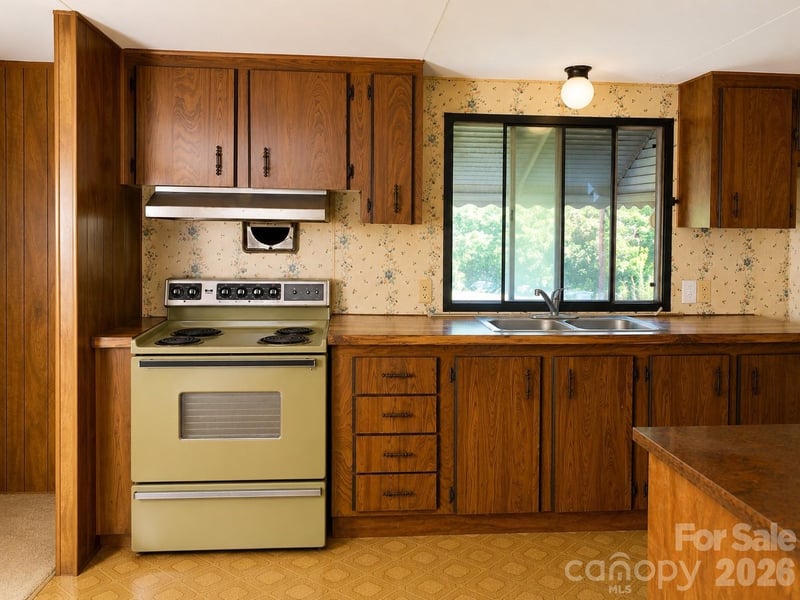 30 Gertrude Ln, Candler, NC 28715