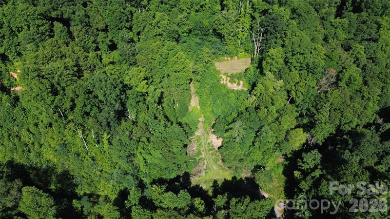 99999 Morgan Hill Rd, Black Mountain, NC 28711