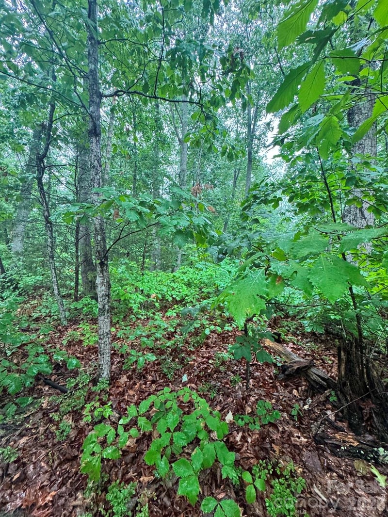 Lhasa Apso Ln, Iron Station, NC 28080