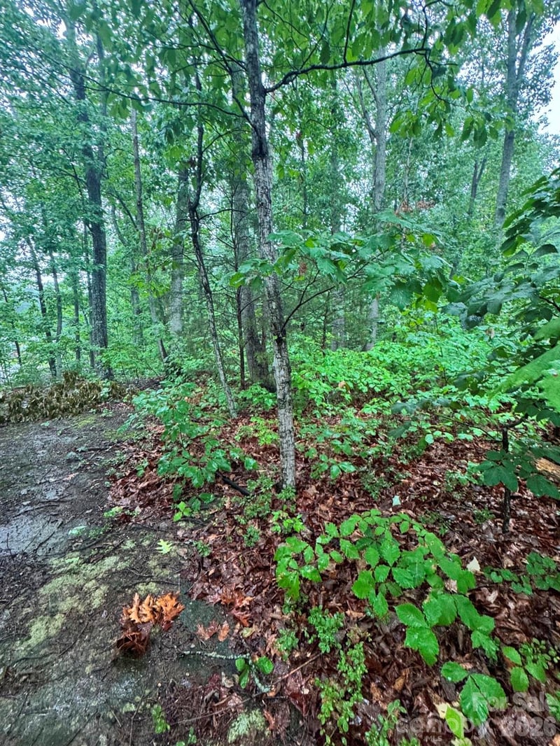 Lhasa Apso Ln, Iron Station, NC 28080