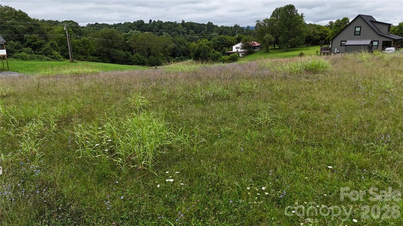 1013 Alexander Rd, Leicester, NC 28748