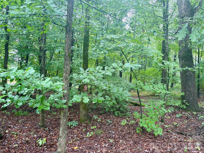 Sherrills Ford Rd, Sherrills Ford, NC 28673