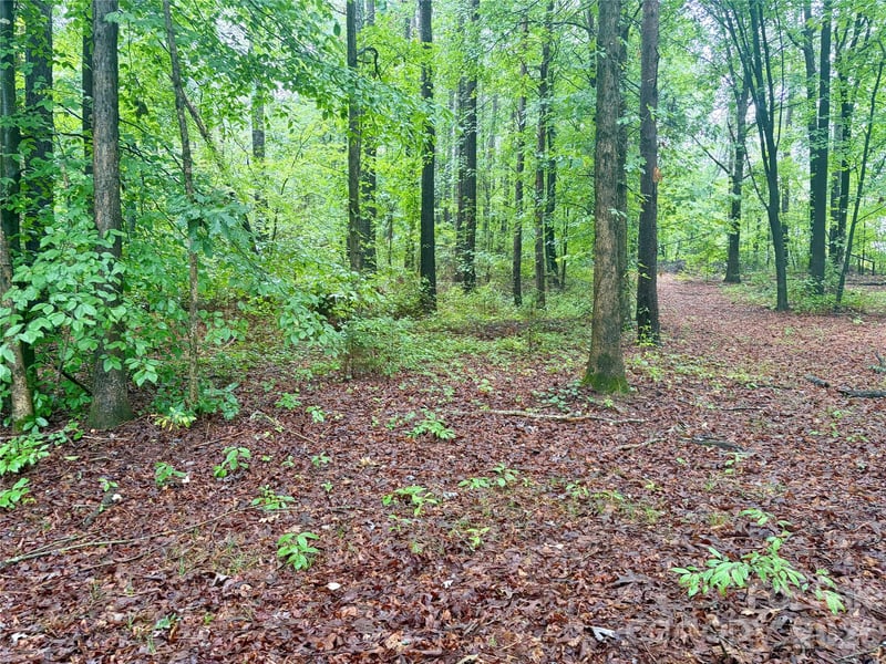 Sherrills Ford Rd, Sherrills Ford, NC 28673