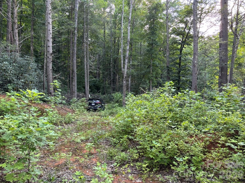 Lot 41 Peace Wood Ln #41, Hendersonville, NC 28792