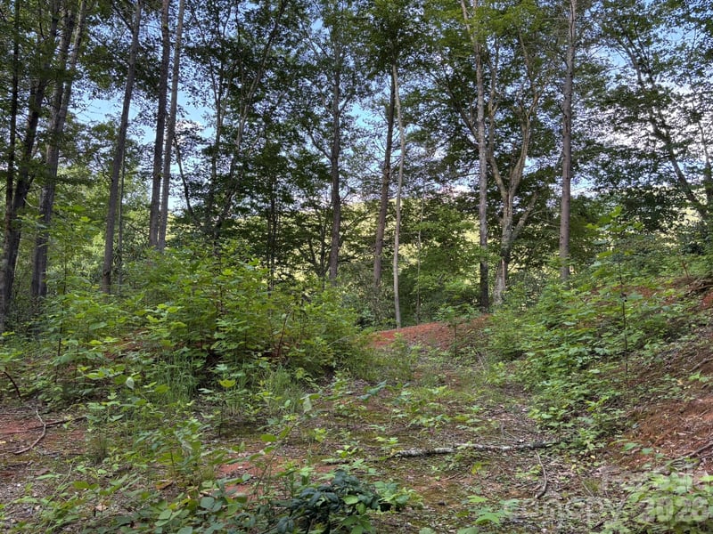 Lot 41 Peace Wood Ln #41, Hendersonville, NC 28792