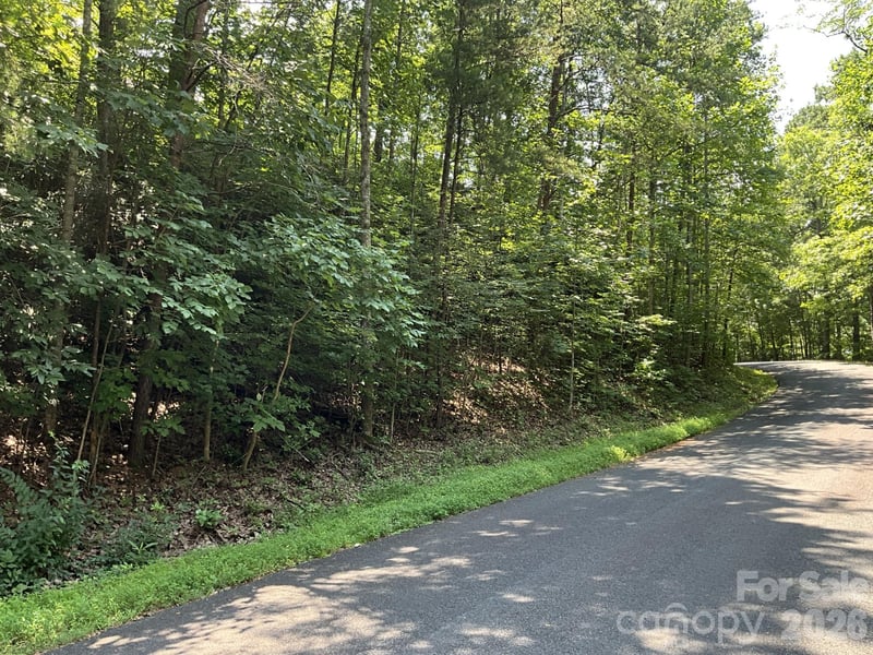 Lot 77 Winesap Blvd, Lake Lure, NC 28746