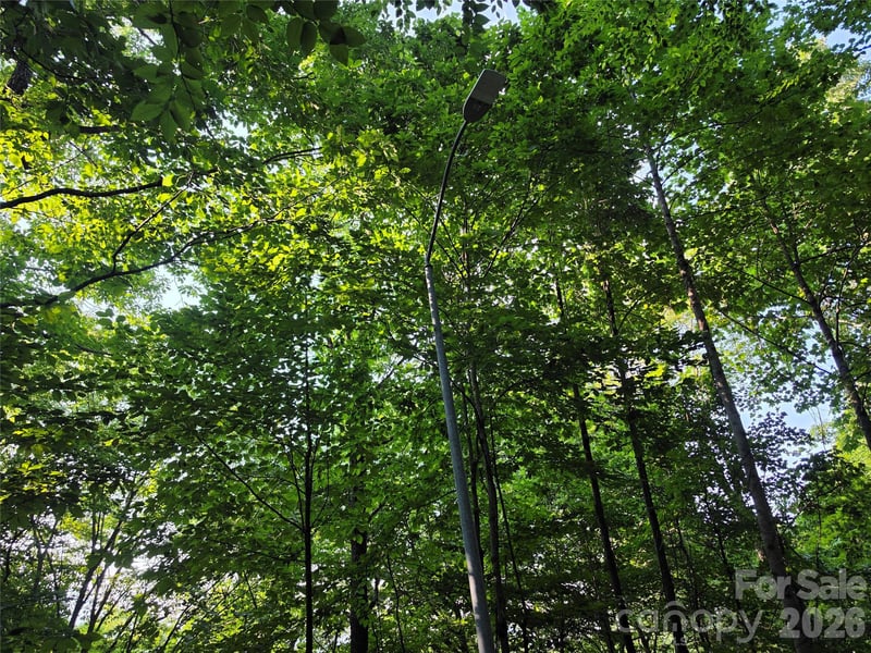TBD Henry Dingus Way #26, Maggie Valley, NC 28751