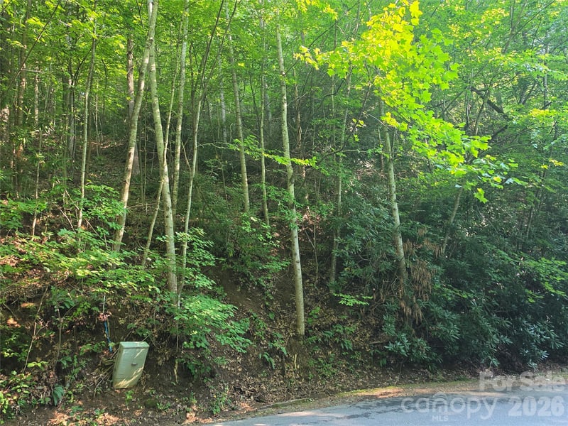 TBD Henry Dingus Way #26, Maggie Valley, NC 28751