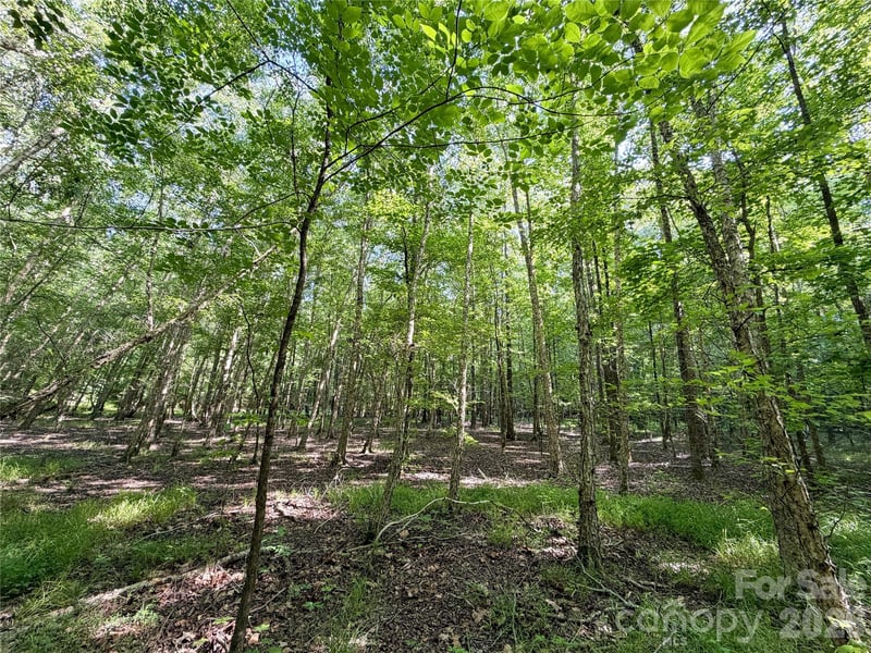 6244 Oakridge Rd, Lake Wylie, SC 29710