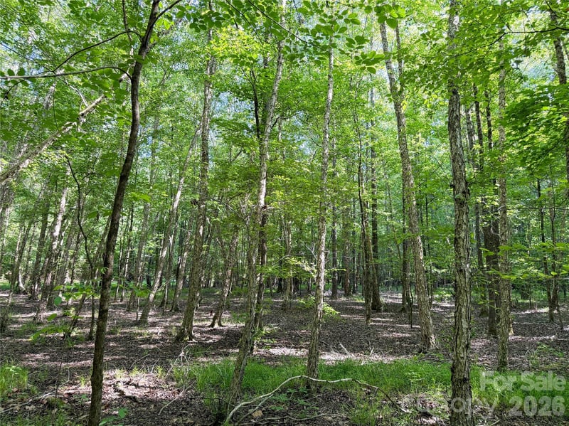 6244 Oakridge Rd, Lake Wylie, SC 29710