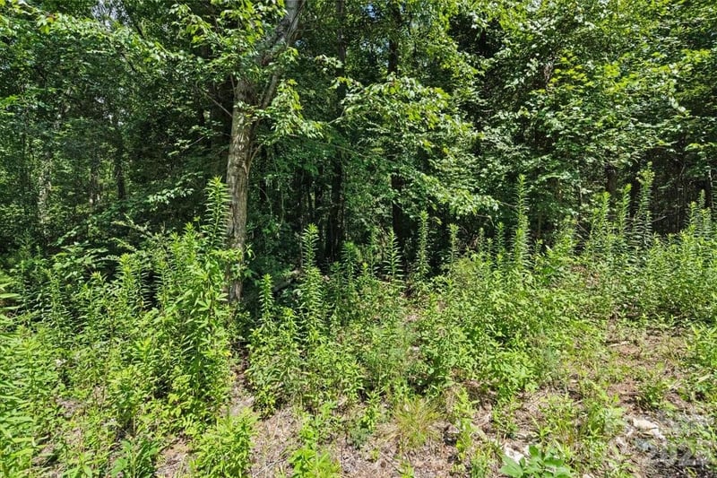 3423 Barr Rd, Concord, NC 28027