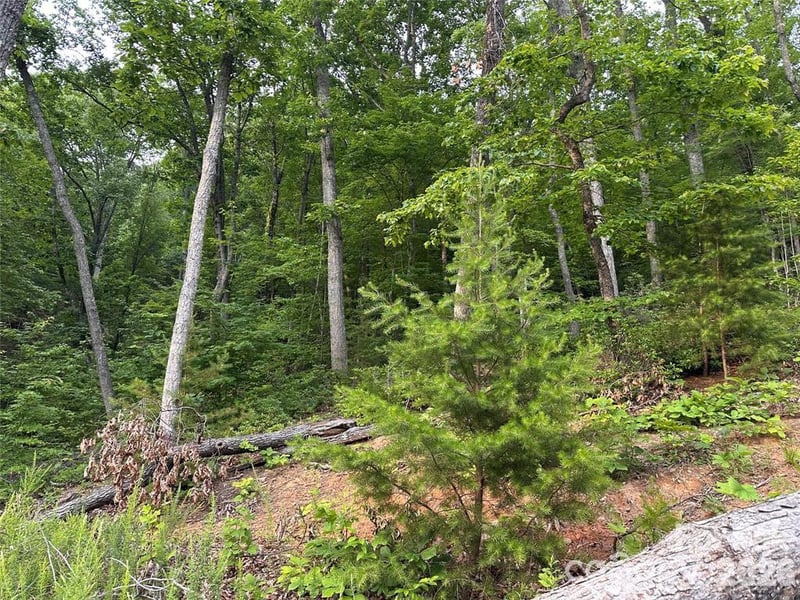 0 Golden Ridge Dr, Lake Lure, NC 28746
