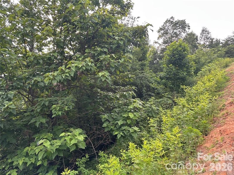 0 Golden Ridge Dr, Lake Lure, NC 28746