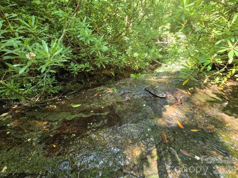 100101 Ellicott Gap None, Rosman, NC 28772