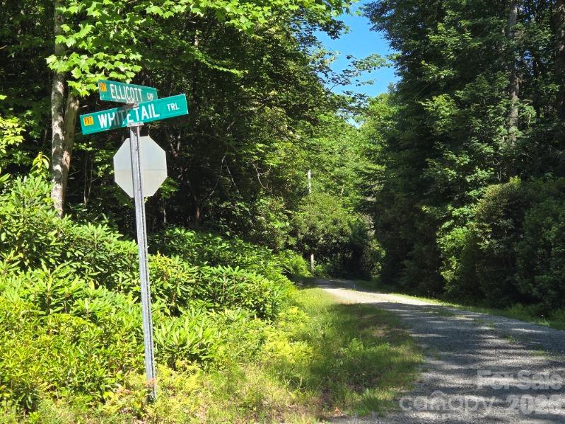 100101 Ellicott Gap None, Rosman, NC 28772