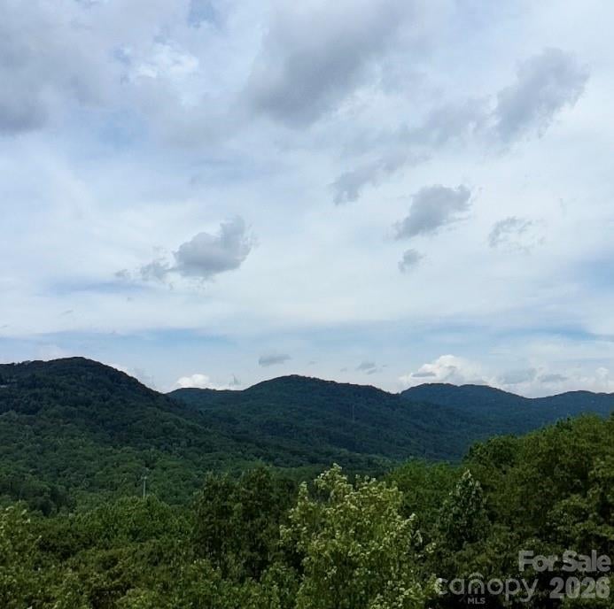 Ridgecrest Rd, Lake Lure, NC 28746