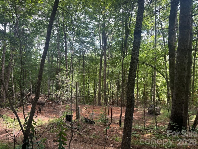 210240 Gobbler Cir #19/21, Horse Shoe, NC 28742