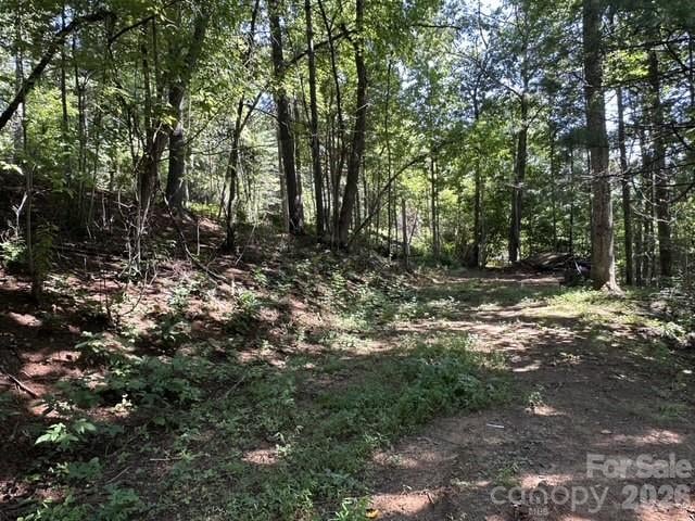 210240 Gobbler Cir #19/21, Horse Shoe, NC 28742