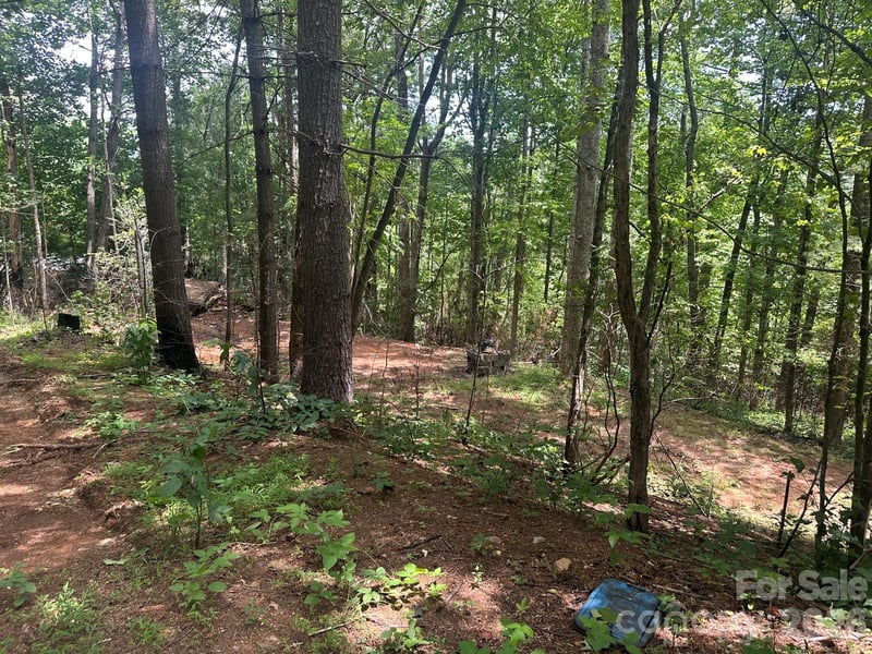 210240 Gobbler Cir #19/21, Horse Shoe, NC 28742