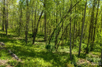 9999 Bee Balm Way #55, Asheville, NC 28804