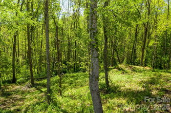 9999 Bee Balm Way #55, Asheville, NC 28804