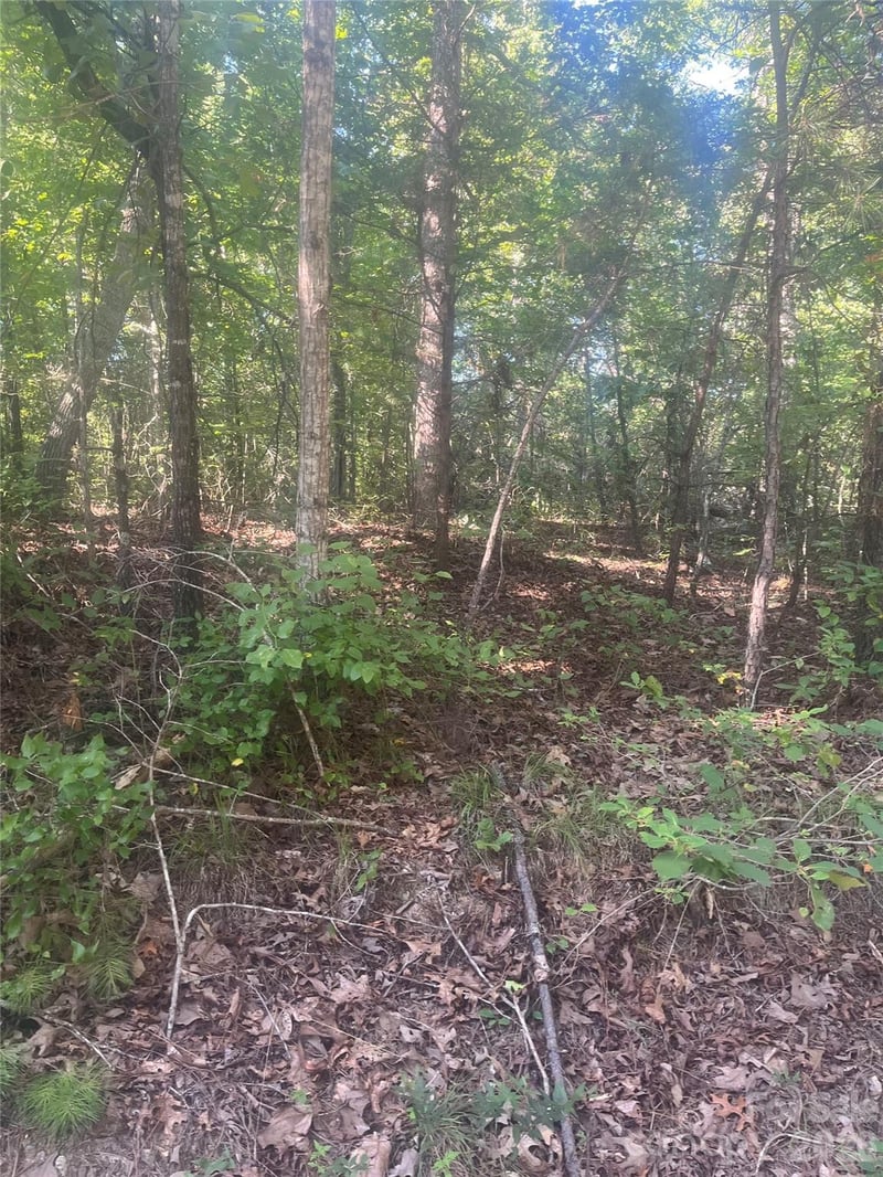 Ore Bank Rd #4, Smyrna, SC 29743