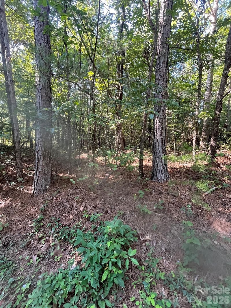 Ore Bank Rd #4, Smyrna, SC 29743