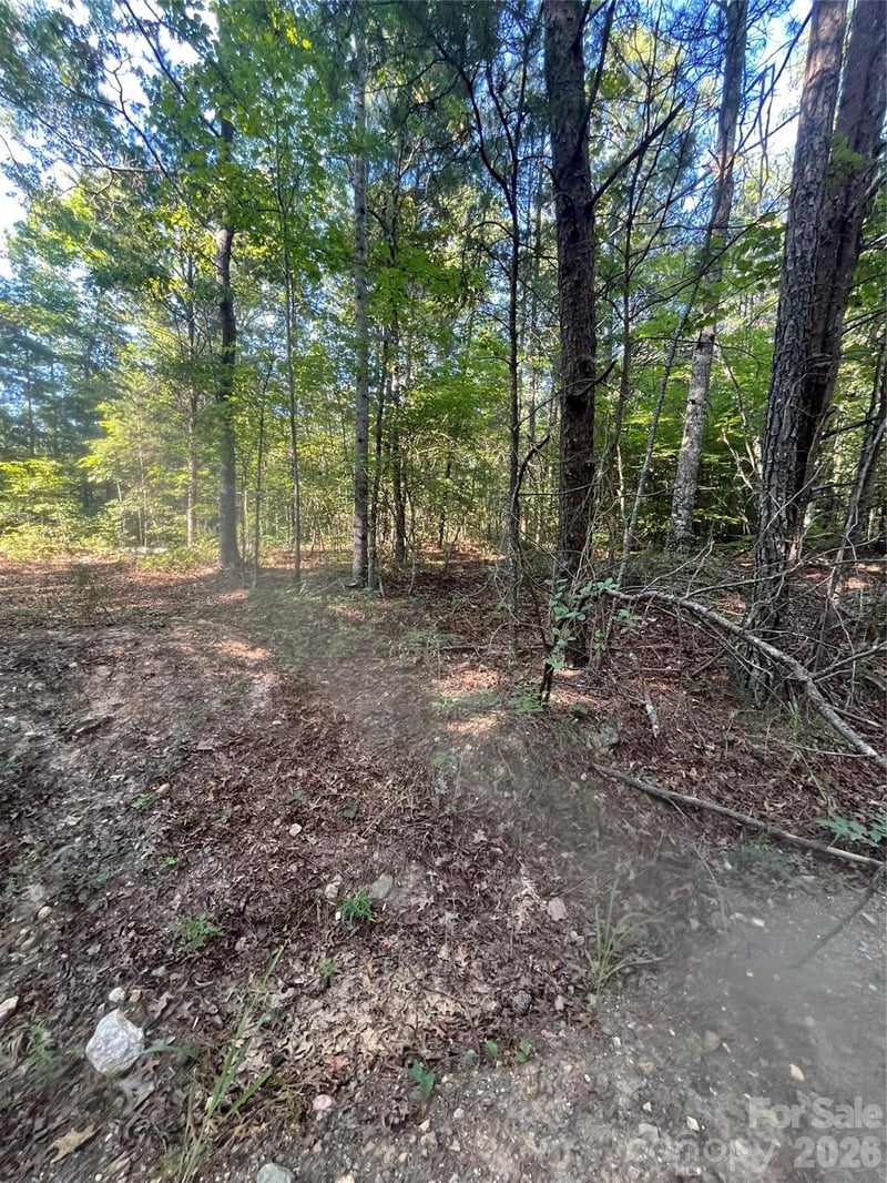 Ore Bank Rd #4, Smyrna, SC 29743