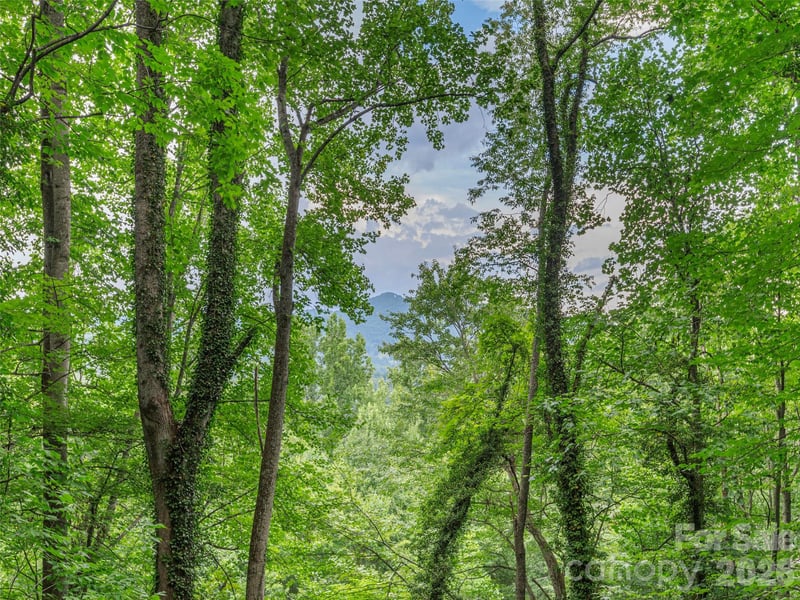 212 Torda Tc, Waynesville, NC 28786