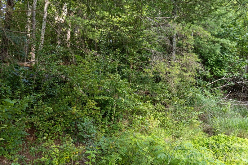 920 Mills Gap Rd, Fletcher, NC 28732