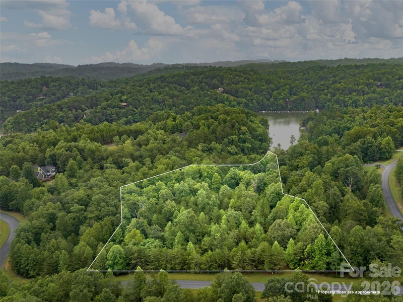 Parkway North Rd #28, Mill Spring, NC 28756