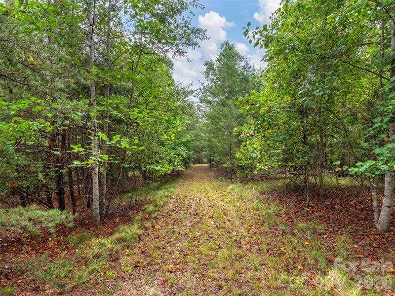 Parkway North Rd #28, Mill Spring, NC 28756