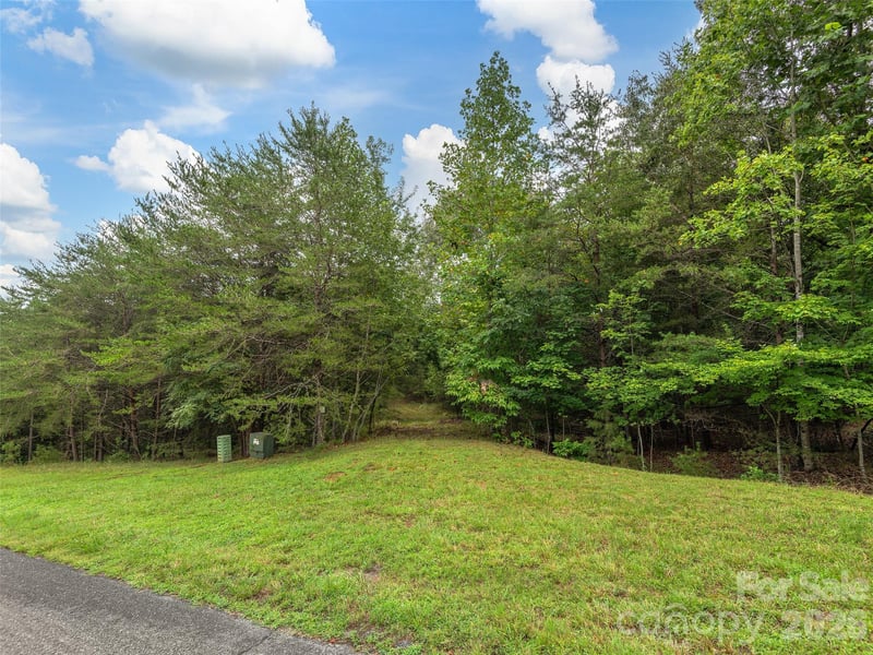Parkway North Rd #28, Mill Spring, NC 28756