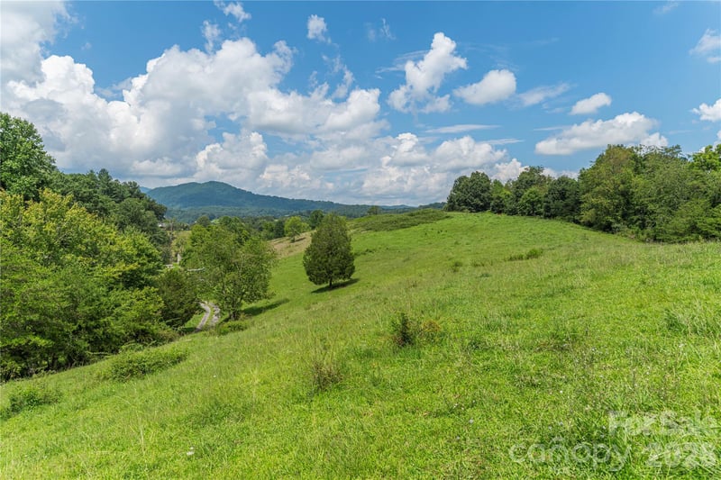 99999 Little Bo Ln, Leicester, NC 28748