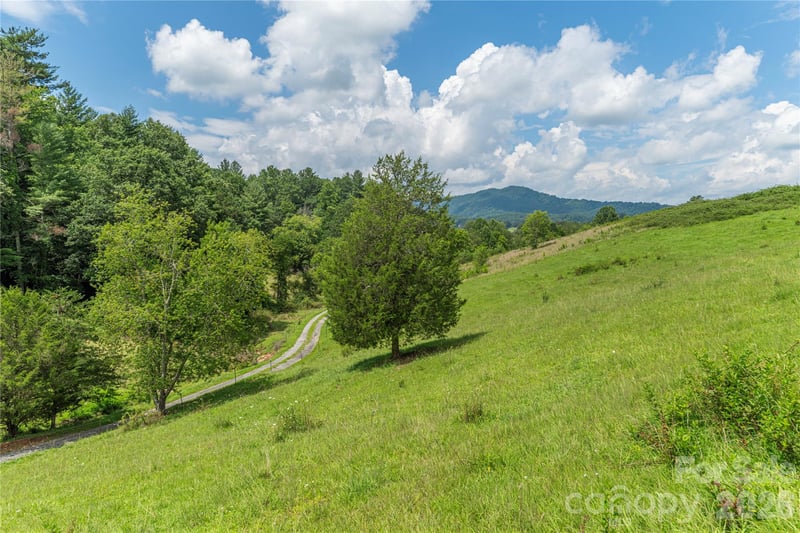 99999 Little Bo Ln, Leicester, NC 28748