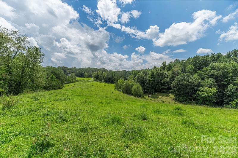 99999 Little Bo Ln, Leicester, NC 28748