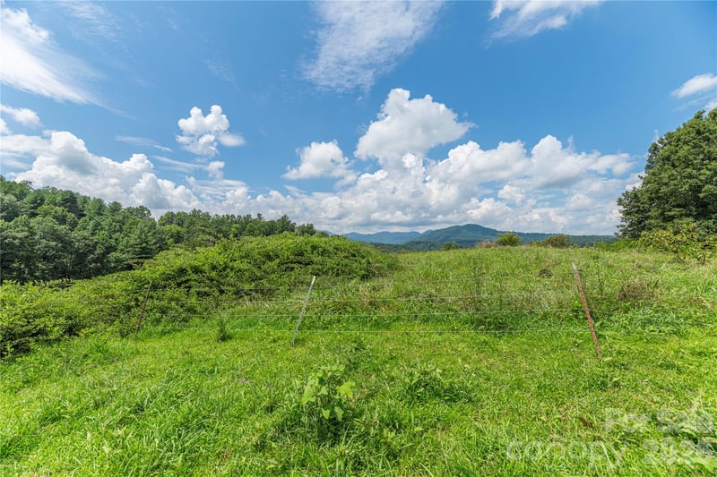 99999 Little Bo Ln, Leicester, NC 28748