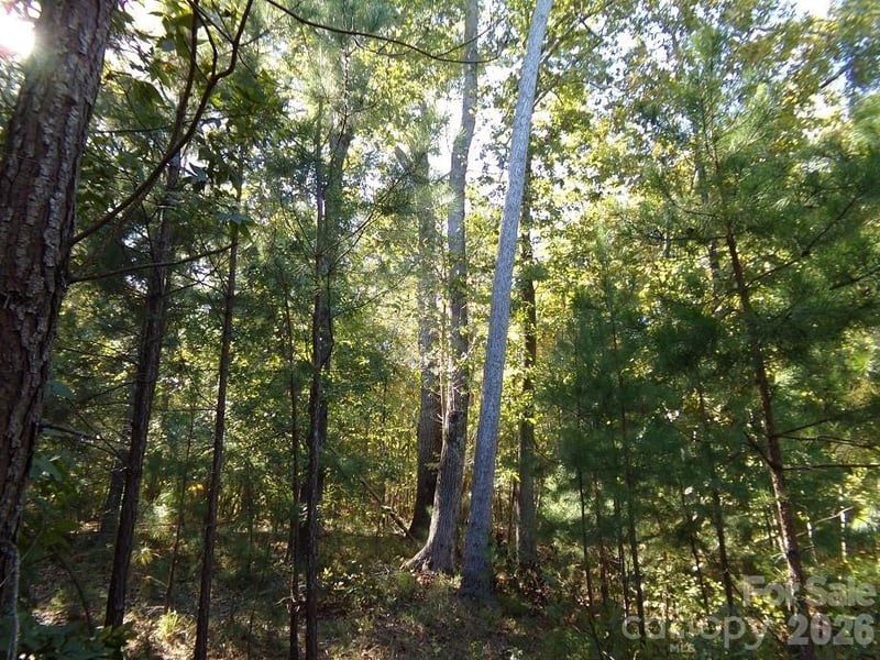 25 Ac Brandon Rd, Clover, SC 29710