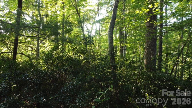 0000 Havens Creek Rd #4, Black Mountain, NC 28711