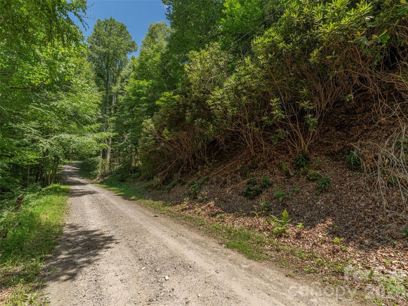 00 Rough Knob Rd, Clyde, NC 28721