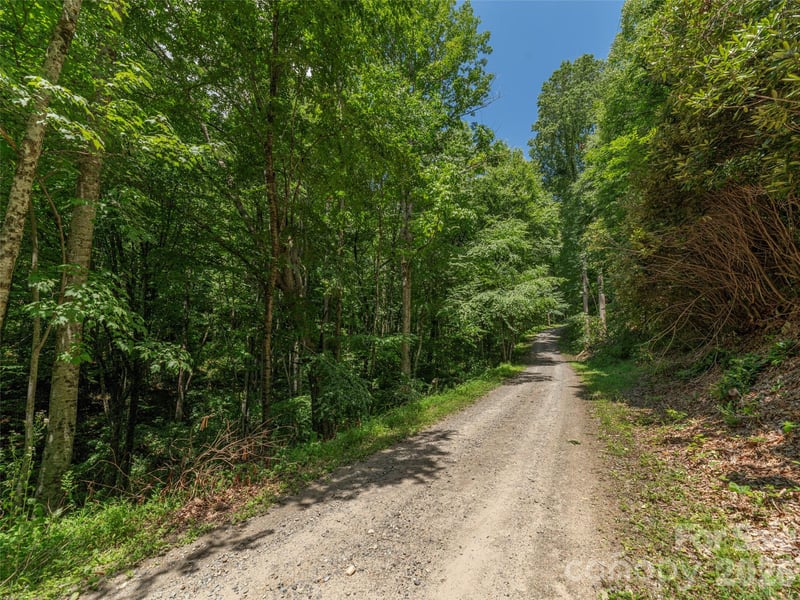 00 Rough Knob Rd, Clyde, NC 28721