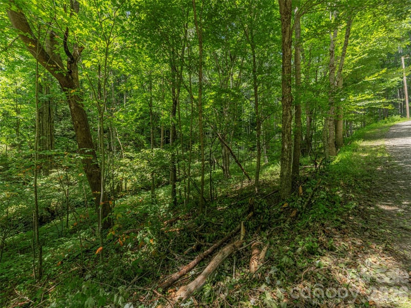 000 Rough Knob Rd, Clyde, NC 28721