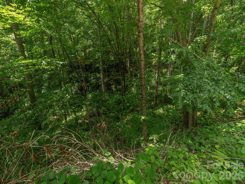 000 Rough Knob Rd, Clyde, NC 28721