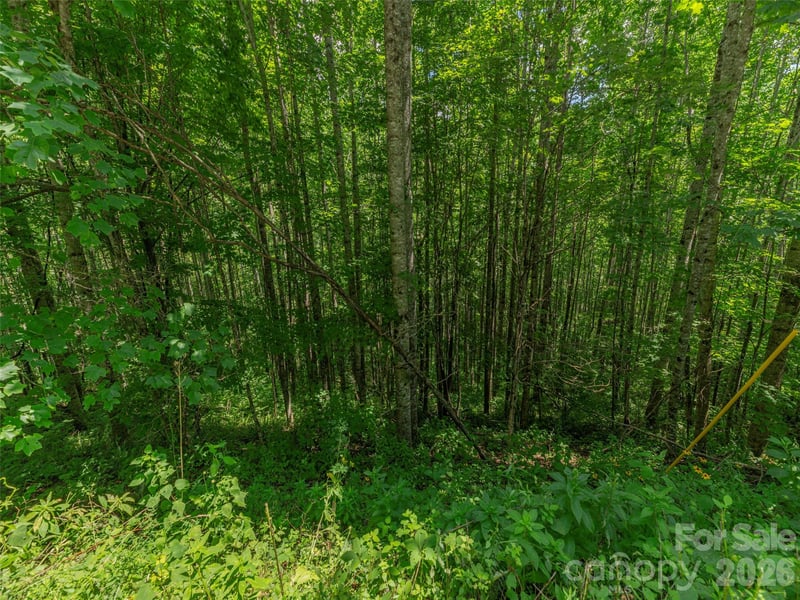 000 Rough Knob Rd, Clyde, NC 28721