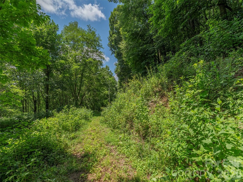 No 911 Address Assigned 0 None, Hot Springs, NC 28743